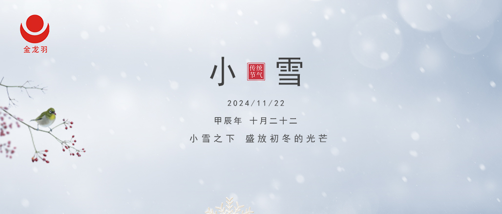 小雪至，寒未深 —— 金龍羽電線電纜與你溫暖相伴